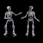 Preview: Graveyard Skeletons Actionfiguren-Viererpack, 17 cm