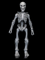 Preview: Graveyard Skeletons Actionfiguren-Viererpack, 17 cm