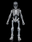 Preview: Graveyard Skeletons Actionfiguren-Viererpack, 17 cm