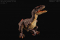 Preview: Velociraptor