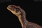 Preview: Velociraptor