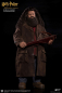 Preview: Rubeus Hagrid