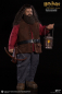 Preview: Rubeus Hagrid