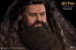 Preview: Rubeus Hagrid