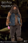 Preview: Rubeus Hagrid