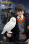 Preview: Harry Potter Actionfigur