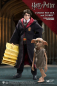 Preview: Harry Potter Real Master Series