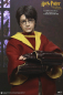 Preview: Potter & Malfoy Quidditch