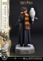 Preview: Harry Potter with Hedwig Statue 1:6 Prime Collectibles, 28 cm