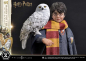 Preview: Harry Potter with Hedwig Statue 1:6 Prime Collectibles, 28 cm