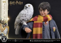 Preview: Harry Potter with Hedwig Statue 1/6 Prime Collectibles, 28 cm