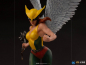 Preview: Hawkgirl