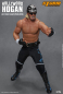 Preview: Hollywood Hulk 1/6