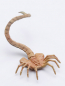 Preview: Alien Egg & Facehugger Set