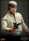 Preview: Luke Skywalker (Bespin) Actionfigur 1:6 Movie Masterpiece Series Deluxe, Star Wars: Episode V, 28 cm