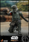 Preview: Transport Trooper