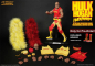 Preview: Hulkamania Hulk Hogan