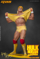 Preview: Hulk Hogan 1/4