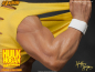 Preview: Hulk Hogan 1/4