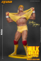 Preview: Hulk Hogan 1/4