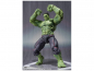 Preview: S.H.Figuarts Hulk