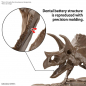 Preview: Imaginary Skeleton Triceratops Modellbausatz 1:32