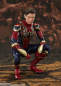 Preview: SHF Iron Spider