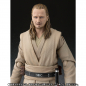 Preview: SHF Qui-Gon Jinn