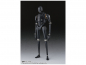 Preview: K-2SO SHF