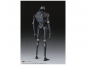 Preview: K-2SO SHF