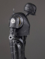 Preview: K-2SO Gentle Giant