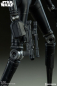 Preview: K-2SO Premium Format