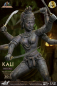 Preview: Kali
