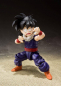 Preview: Kid Son Gohan