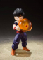 Preview: Kid Son Gohan