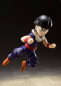 Preview: Kid Son Gohan