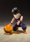 Preview: Kid Son Gohan