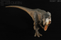 Preview: Tyrannosaurus rex