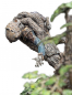 Preview: Leaflock the Ent Statue 1:6, Der Herr der Ringe, 76 cm