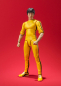 Preview: Bruce Lee SHF