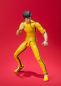 Preview: Bruce Lee SHF