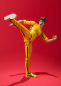 Preview: Bruce Lee SHF