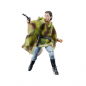 Preview: Princess Leia (Endor) Actionfigur Black Series 40th Anniversary, Star Wars: Episode VI, 15 cm