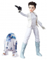 Preview: Leia & R2-D2 Forces of Destiny