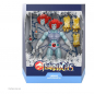 Preview: Lion-O (Hook Mountain Ice) Action Figure Ultimates SDCC Exclusive, ThunderCats, 18 cm