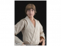 Preview: Luke Skywalker SHF