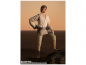 Preview: Luke Skywalker SHF