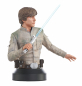 Preview: Luke Skywalker Büste 1:6, Star Wars: Episode V, 15 cm