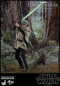 Preview: Luke Skywalker Endor