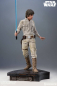 Preview: Luke Skywalker Premium Format